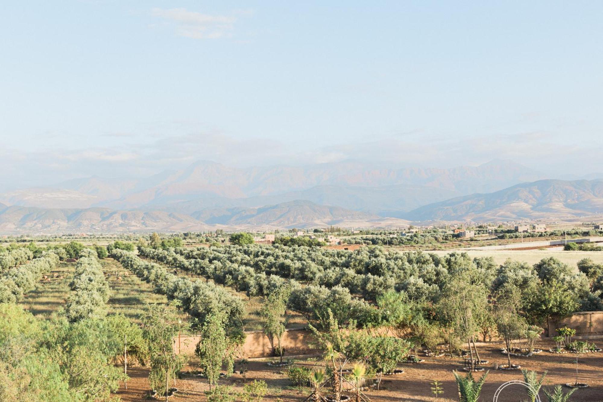 Kasbah Caracalla Bed & Breakfast Aït Zat Екстериор снимка